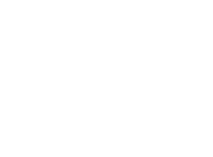 punktgenau Beratung - rundes hell Logo